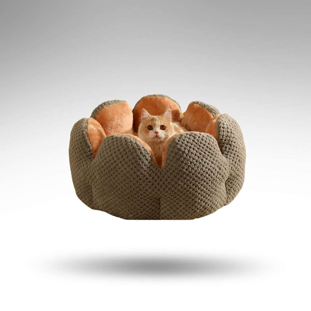 BloomNest™ Kaktus-Haustierbett – Design & Höhle