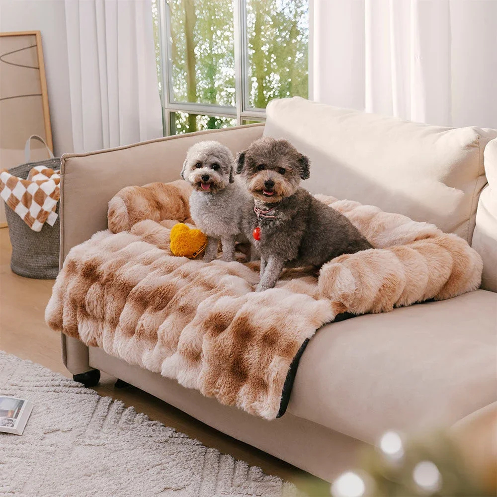 FluffGuard™ Hundeliege & Sofaschoner – Plüsch & Rand