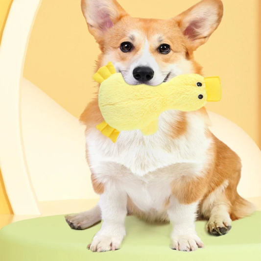 QuackMate™ - Niedliches Quietsche-Entchen Plüschspielzeug für Hunde