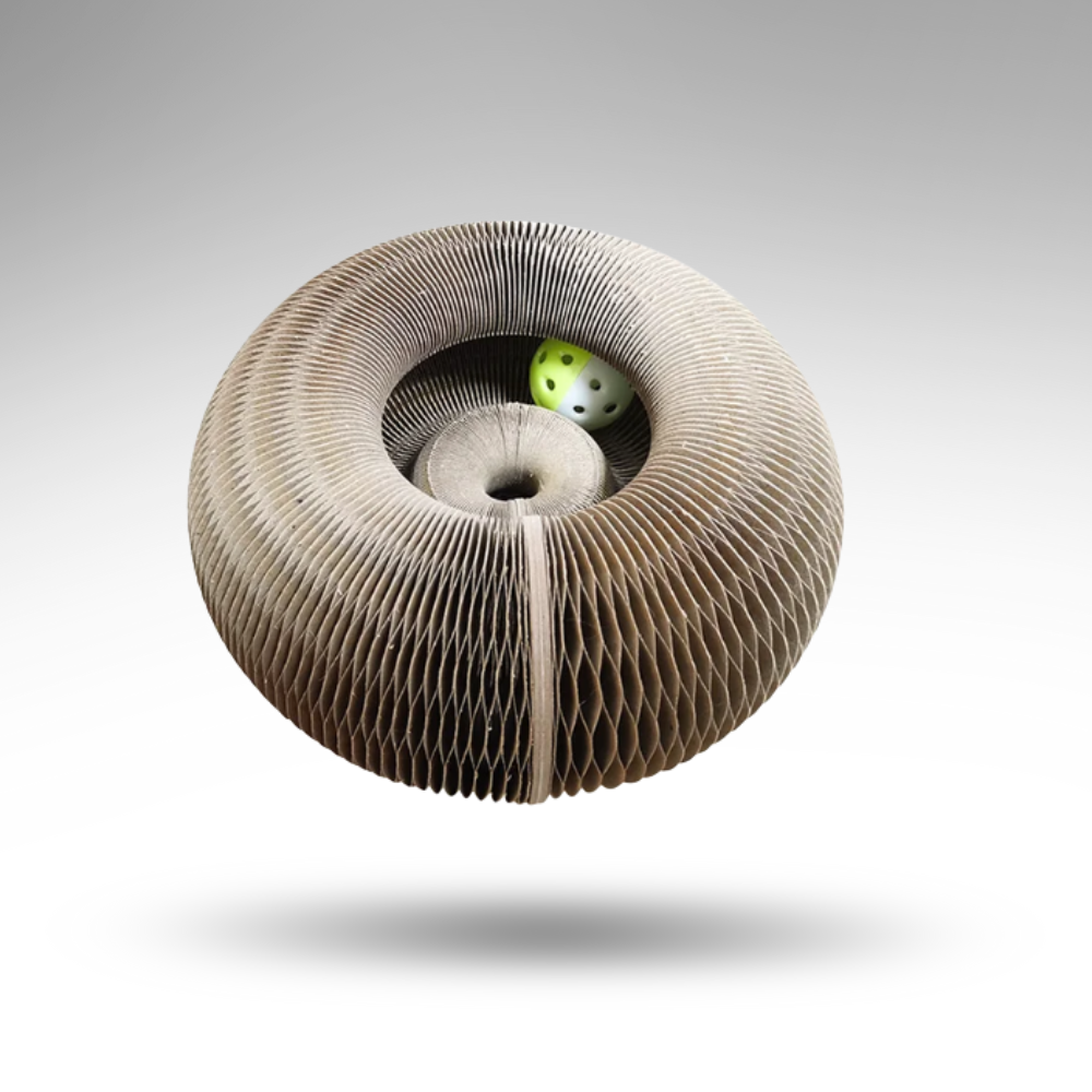 ScratchLoop™ Faltbares Kratzbrett – Spiel & Möbelschutz