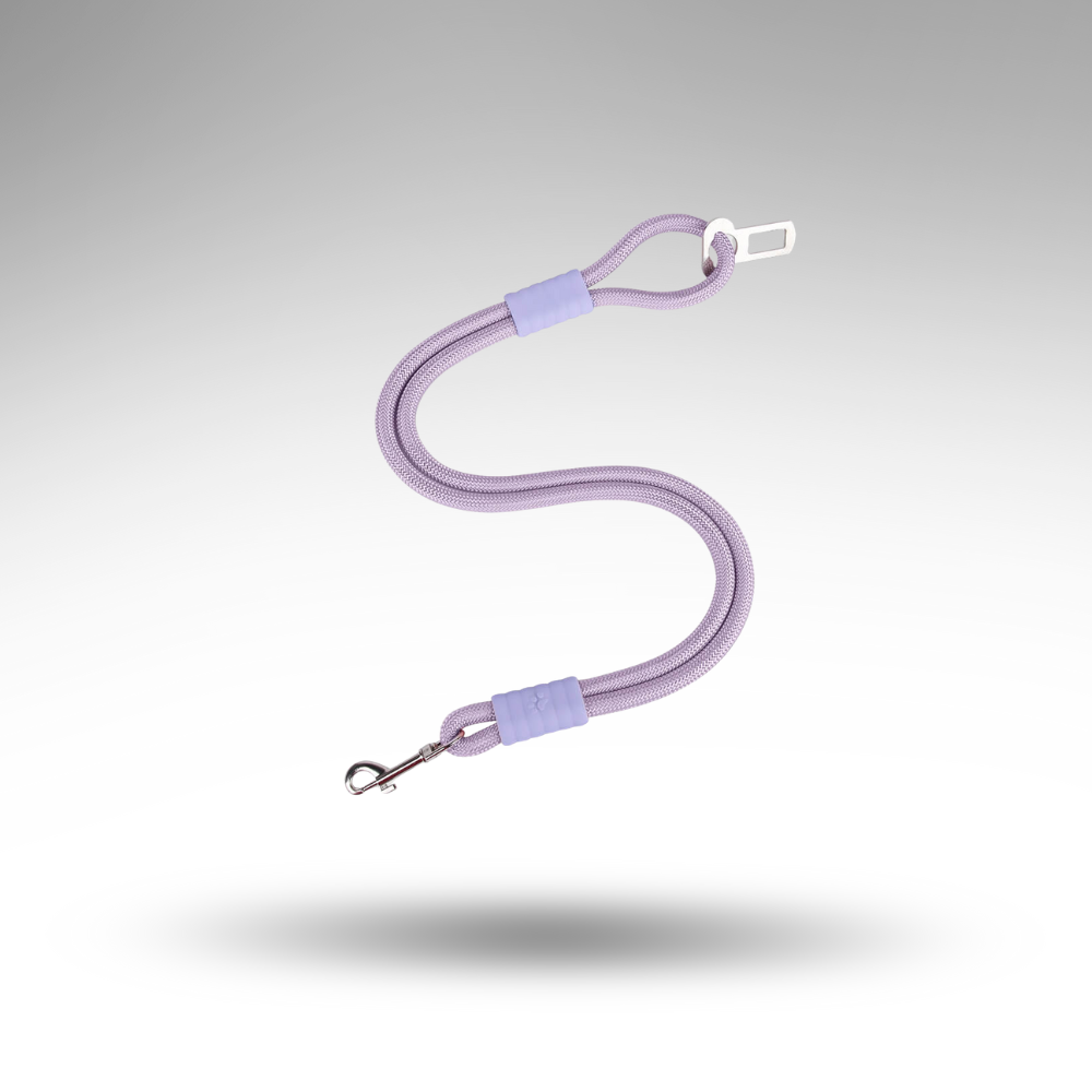 SteadyRide™ Anti-Zug Sicherheitsgurt – Schutz & 360° Komfort