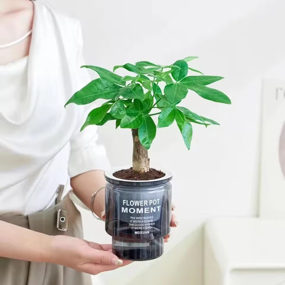 AquaBloom™ Selbstbewässernde Blumentöpfe – Intelligente Pflanzgefäße mit Wasserreservoir