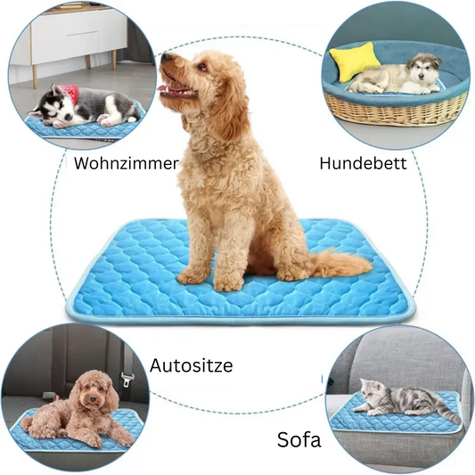 Pawrelle™ CoolMat – Selbstkühlende Haustiermatte für Hunde & Katzen (Sommeredition)