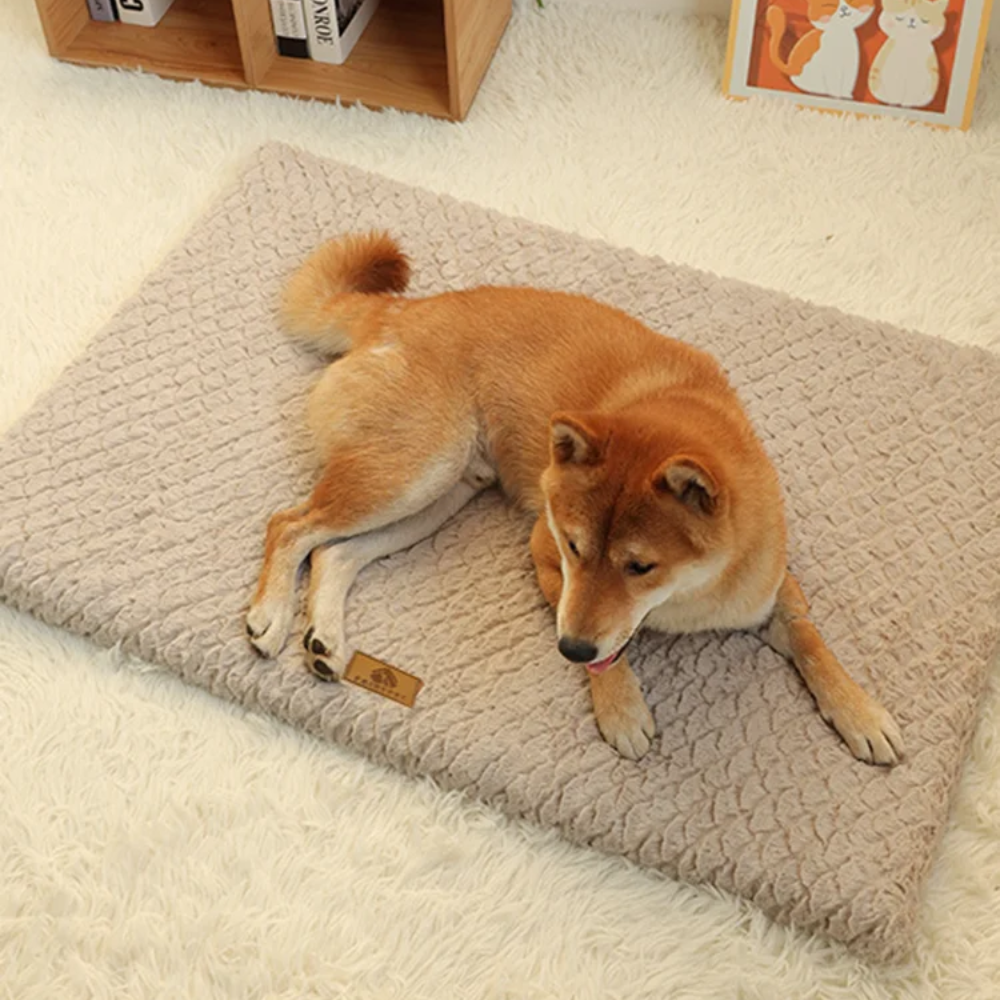 PAWRELLE™ Isomatte – Faltbare Haustiermatte mit Flauschbezug