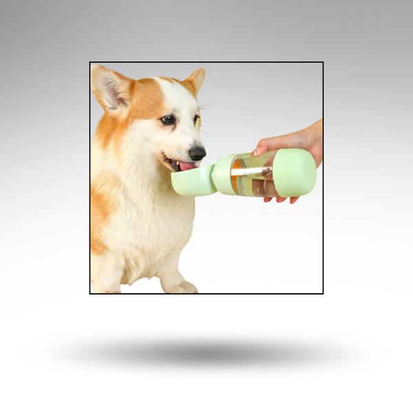 AquaPaw™ Outdoor Trinkflasche – Auslaufsicher & 2-in-1