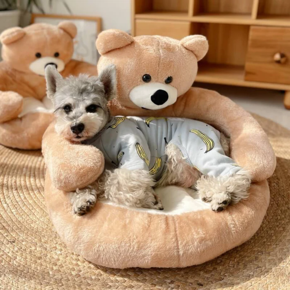 BearHug™ - Niedliches, abnehmbarer Bären-Kuschelbett für Katzen & Hunde