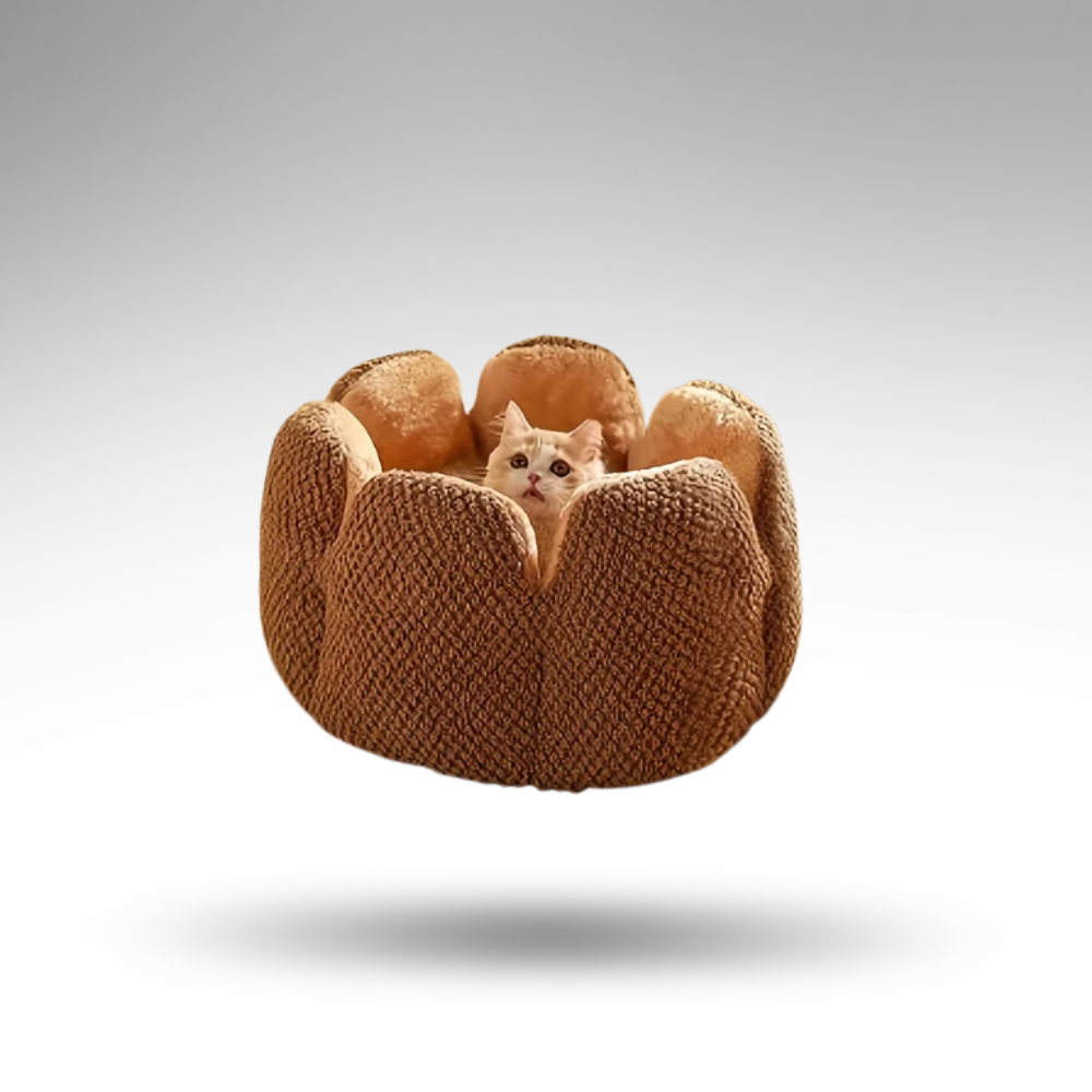 BloomNest™ Kaktus-Haustierbett – Design & Höhle