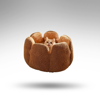 BloomNest™ Kaktus-Haustierbett – Design & Höhle