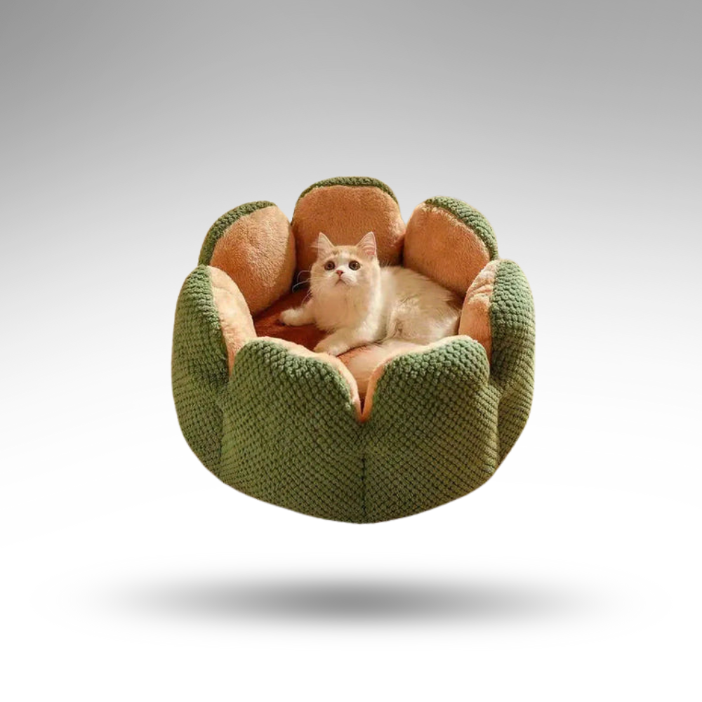BloomNest™ Kaktus-Haustierbett – Design & Höhle
