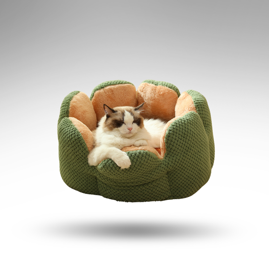 BloomNest™ Kaktus-Haustierbett – Design & Höhle