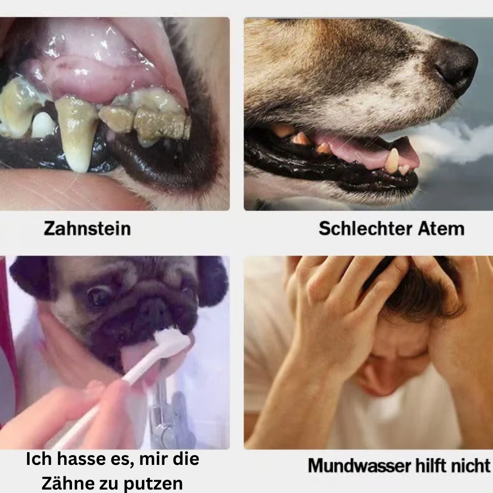 DentalWipe™ Mundpflege-Fingerlinge zur Zahnreinigung für Hunde & Katzen