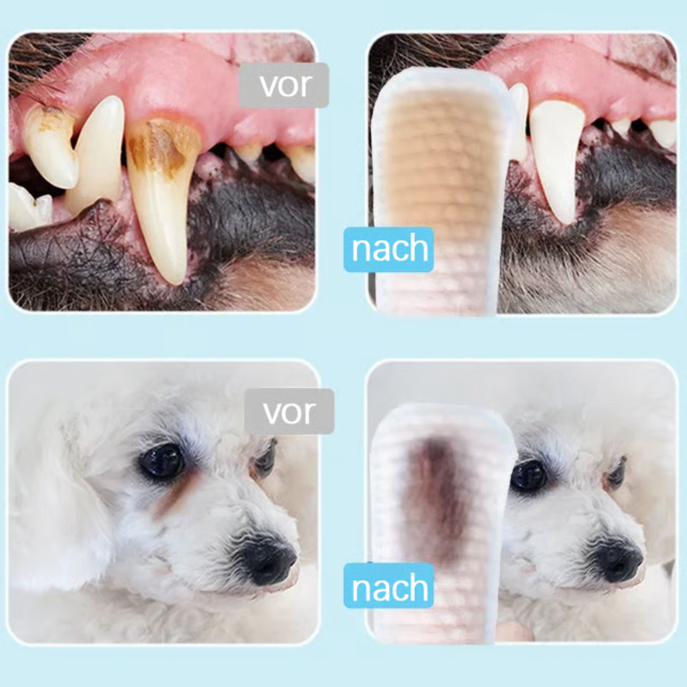 DentalWipe™ Mundpflege-Fingerlinge zur Zahnreinigung für Hunde & Katzen