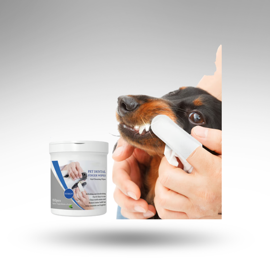 DentalWipe™ Mundpflege-Fingerlinge – Stressfrei & Frischer Atem
