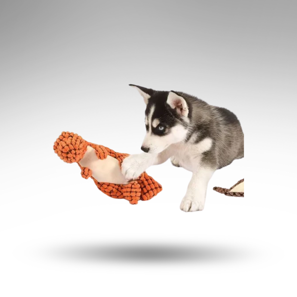 DinoChew™ Plüsch-Kauspielzeug – Robust & Zahnfreundlich