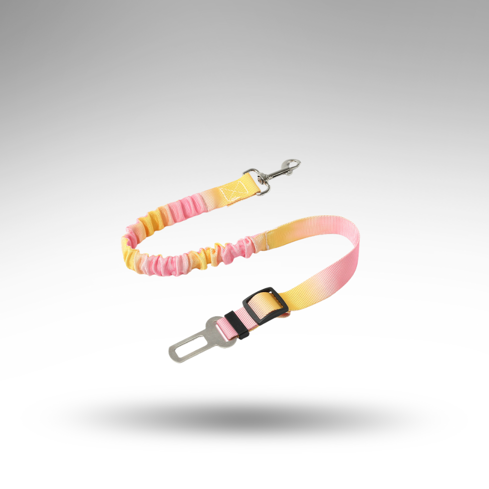 FlexiSafe™ Hunde-Sicherheitsgurt – Stoßdämpfung & Schutz