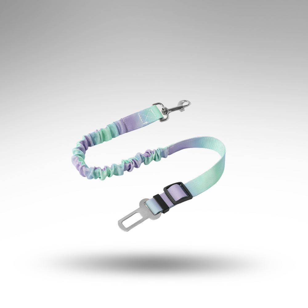 FlexiSafe™ Hunde-Sicherheitsgurt – Stoßdämpfung & Schutz