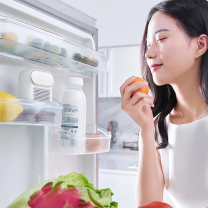 Freshora™ Kühlschrank Luftreiniger & Sterilisator