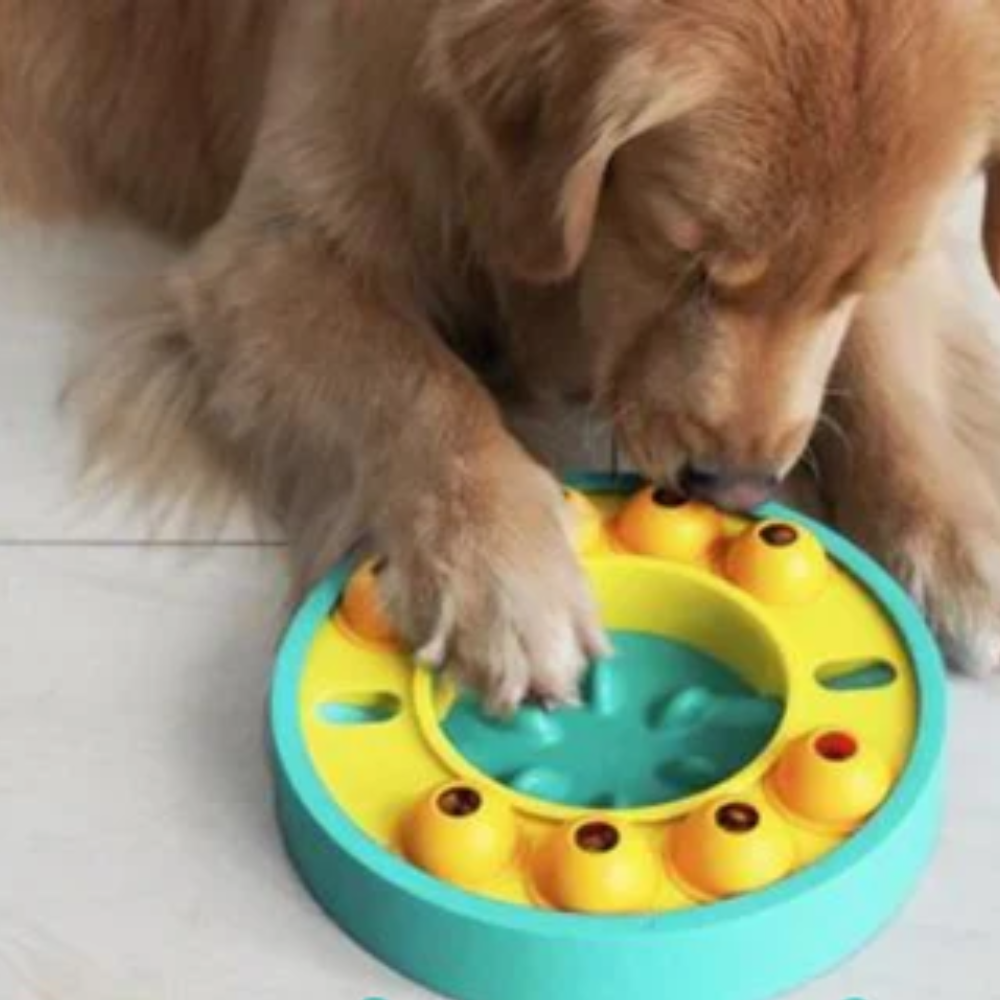 PuzzleBowl™ Interaktiver Futter-Spielball