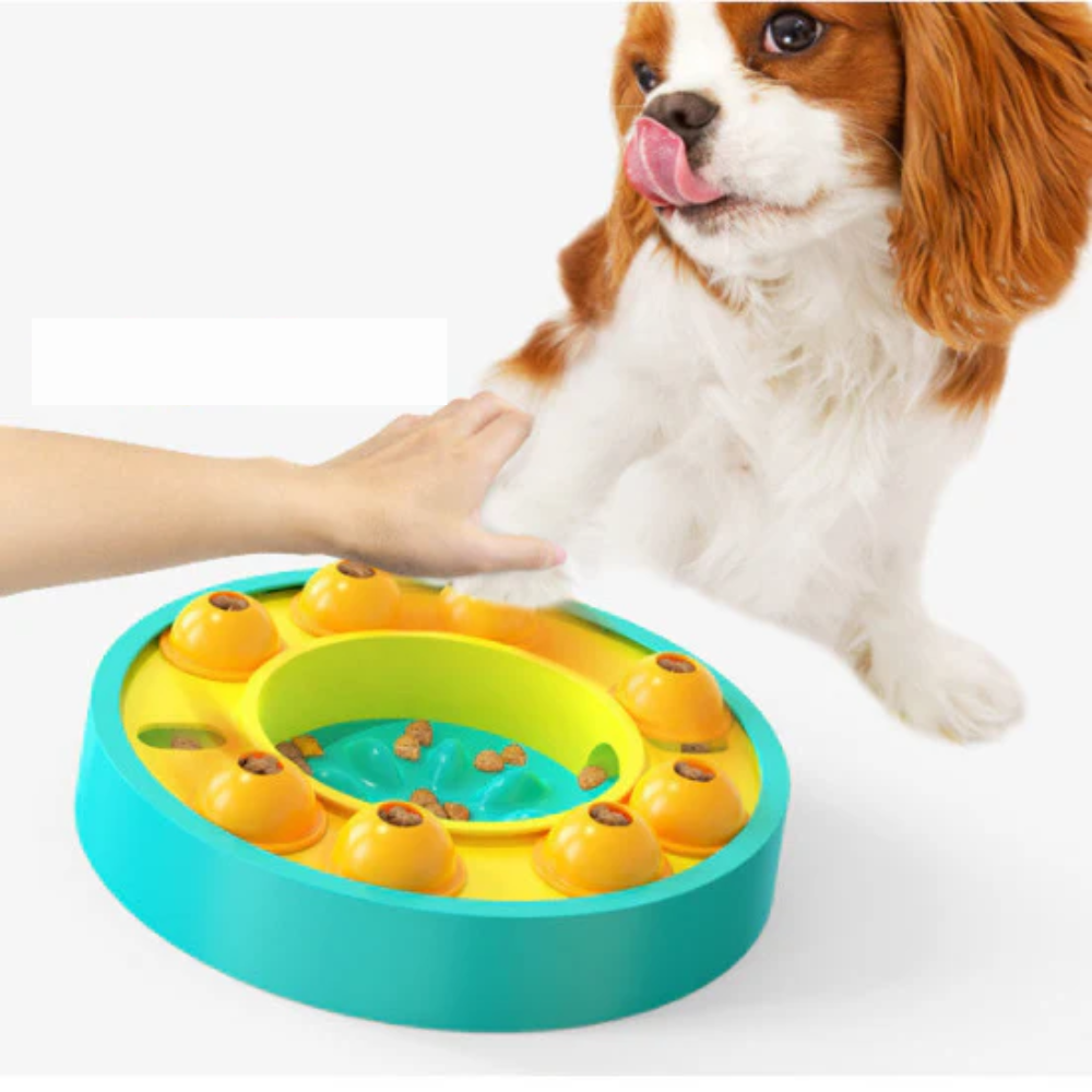 PuzzleBowl™ Interaktiver Futter-Spielball