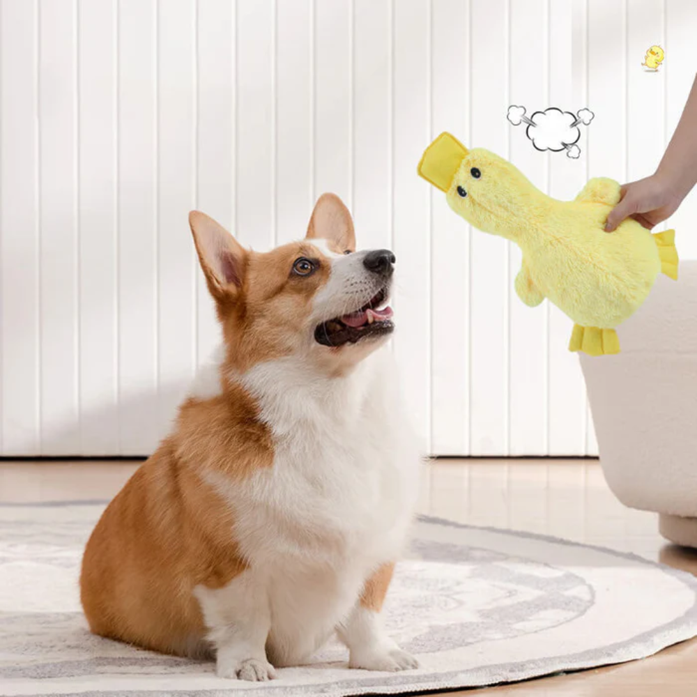 QuackMate™ - Niedliches Quietsche-Entchen Plüschspielzeug für Hunde