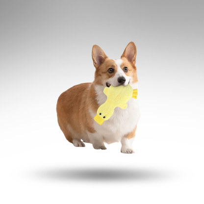 QuackMate™ Quietsche-Ente – Robust & Kuschelig