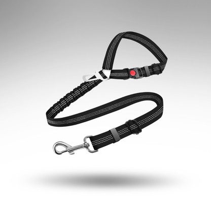 SafeRide™ 2-in-1 Sicherheitsgurt – Kopfstütze & Leine