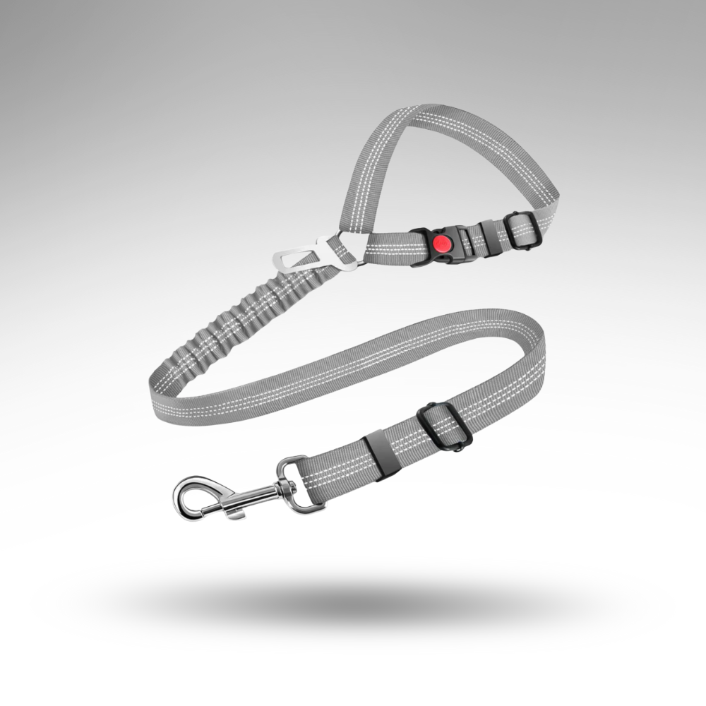 SafeRide™ 2-in-1 Sicherheitsgurt – Kopfstütze & Leine