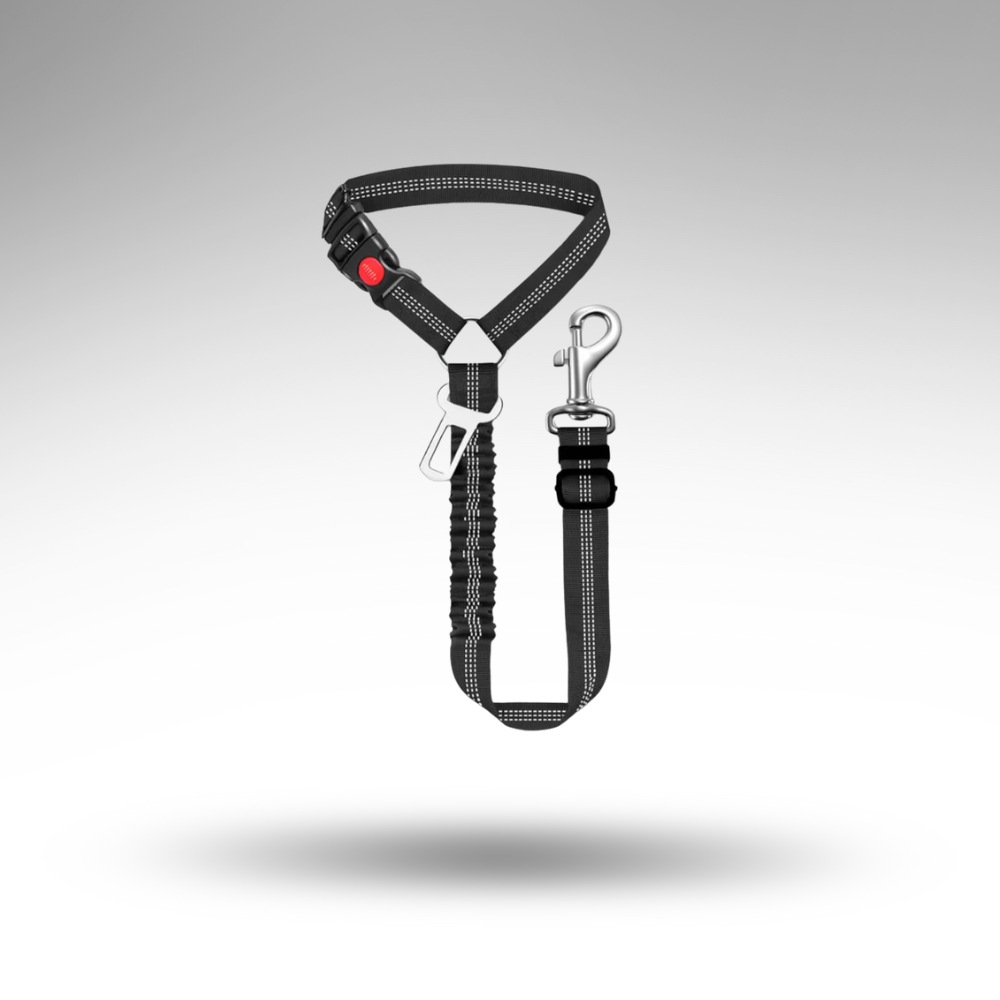 SafeRide™ 2-in-1 Sicherheitsgurt – Kopfstütze & Leine