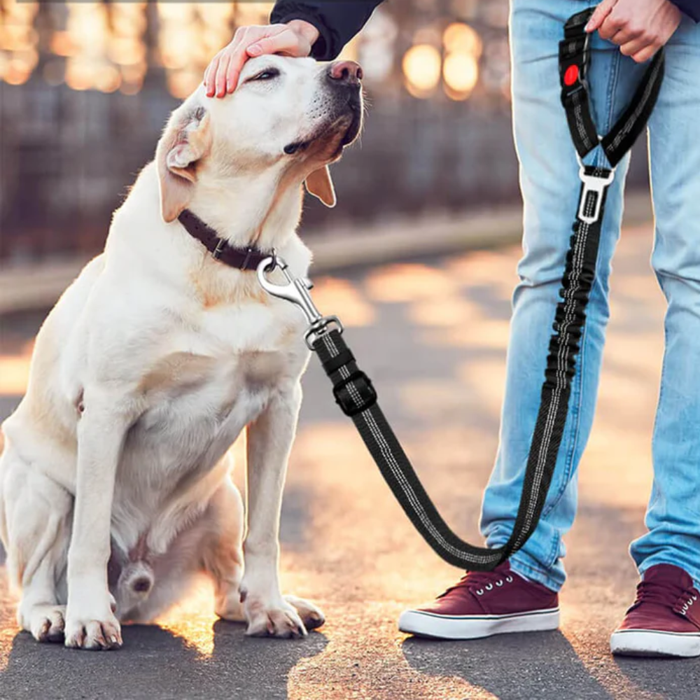 SafeRide™ - Verstellbarer 2-in-1 Hundesicherheitsgurt für den Kopfstützen-Anker