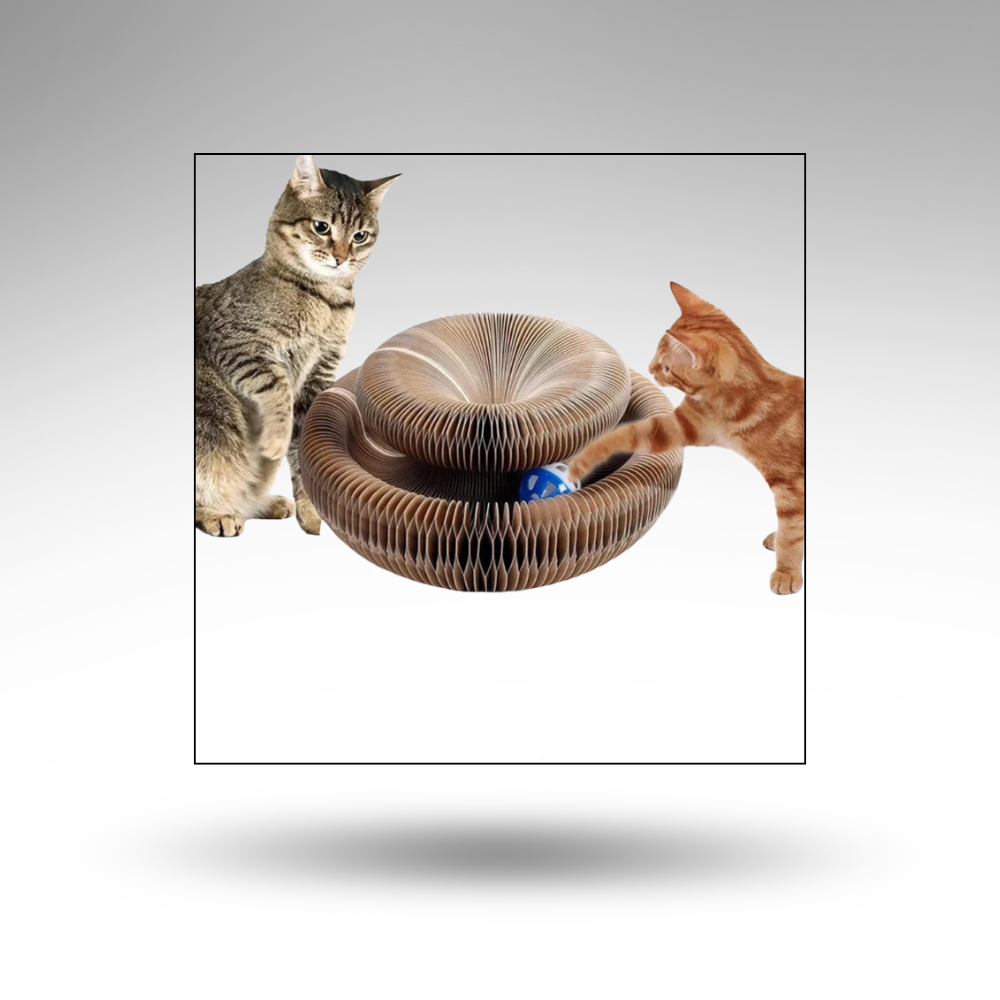 ScratchLoop™ Faltbares Kratzbrett – Spiel & Möbelschutz