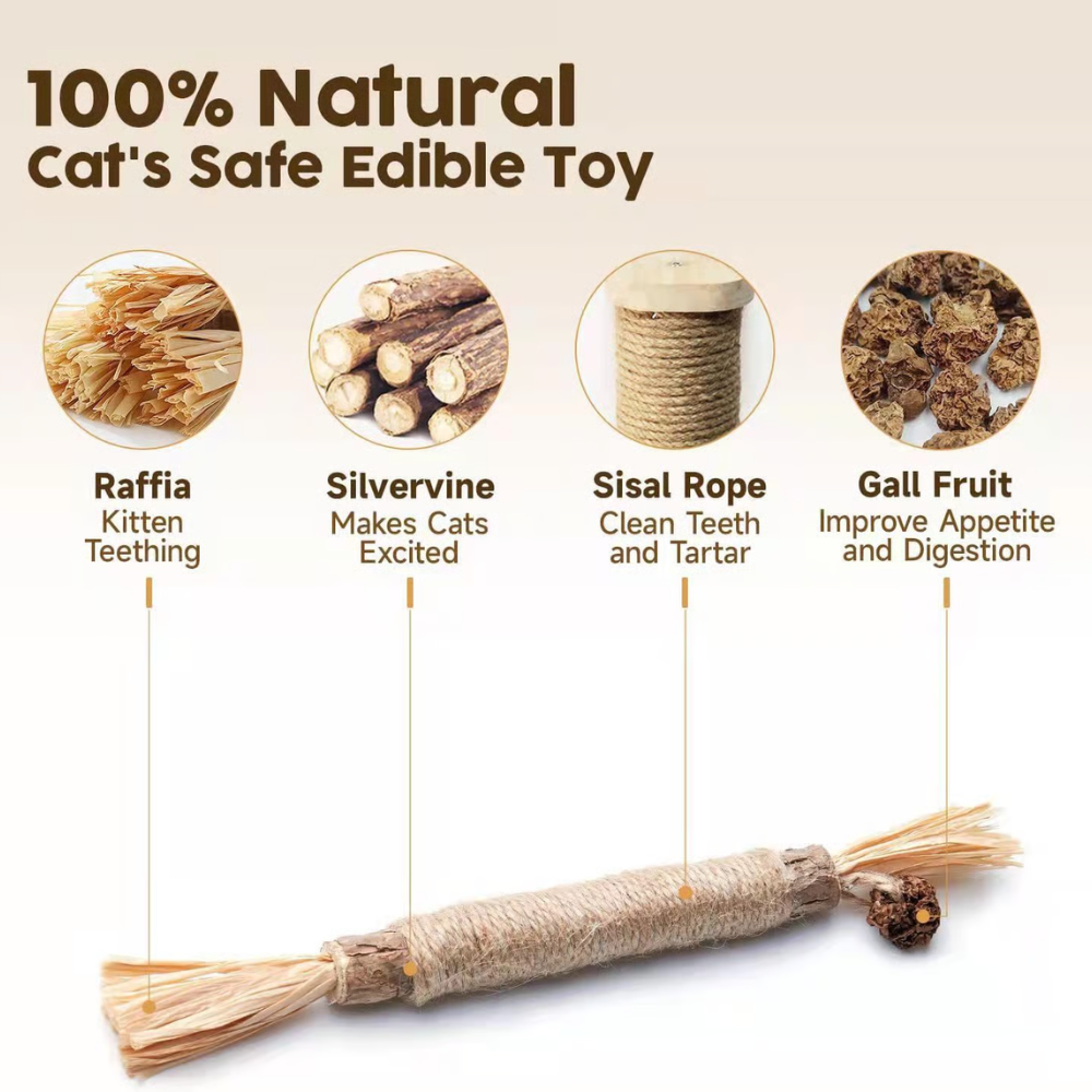 SilverChew™ Naturstange aus Silberrebe zur Zahnpflege & Verdauung