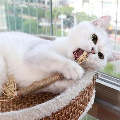 SilverChew™ Naturstange aus Silberrebe zur Zahnpflege & Verdauung