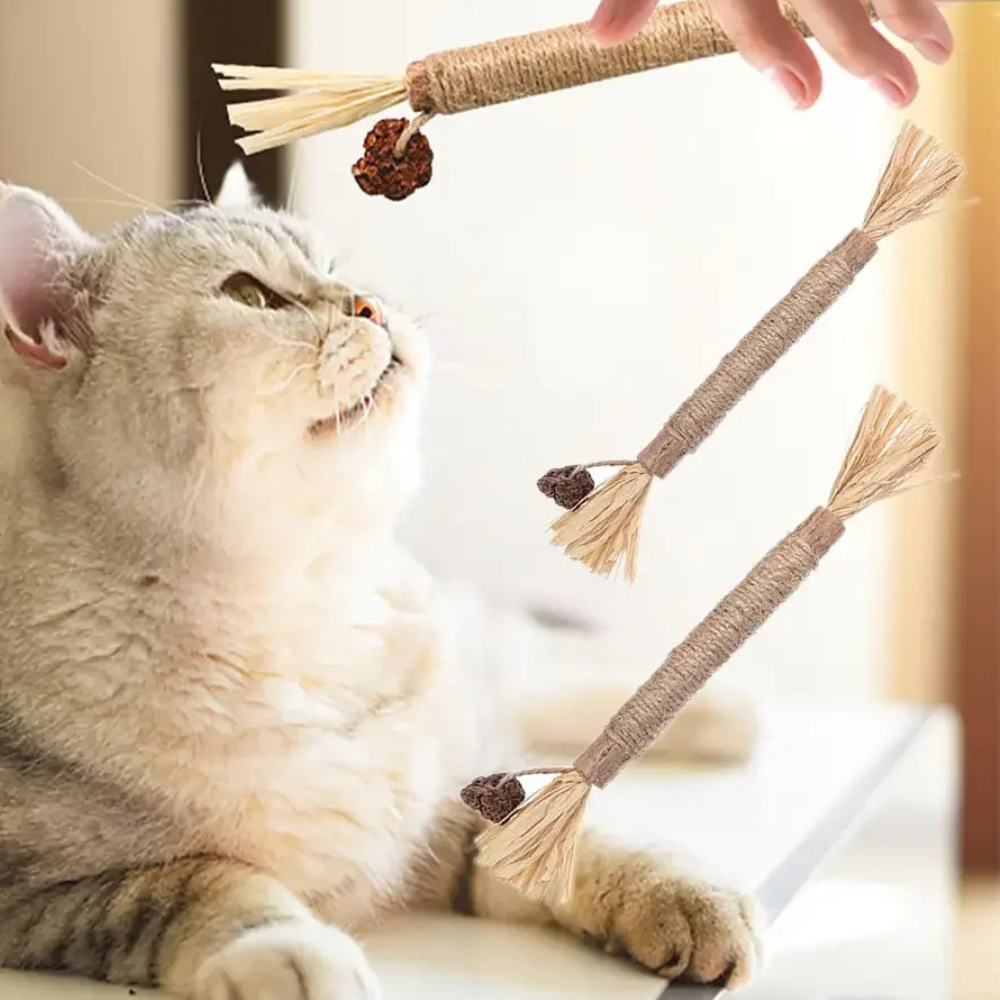 SilverChew™ Naturstange aus Silberrebe zur Zahnpflege & Verdauung