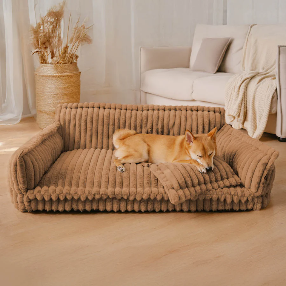SnnozyDream™ – Großes Waschbares Flauschiges Orthopädisches Hundesofa-Bett