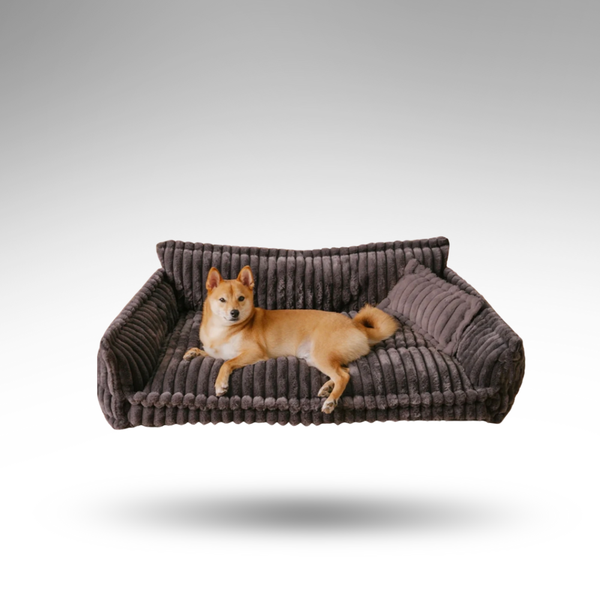 SnnozyDream™ Orthopädisches Hundesofa – Weich & Halt