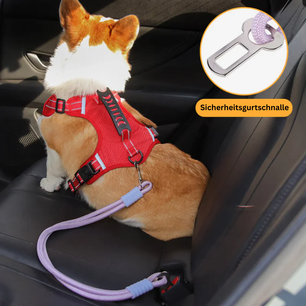 SteadyRide™ Anti-Zug Sicherheitsgurt – Schutz & 360° Komfort