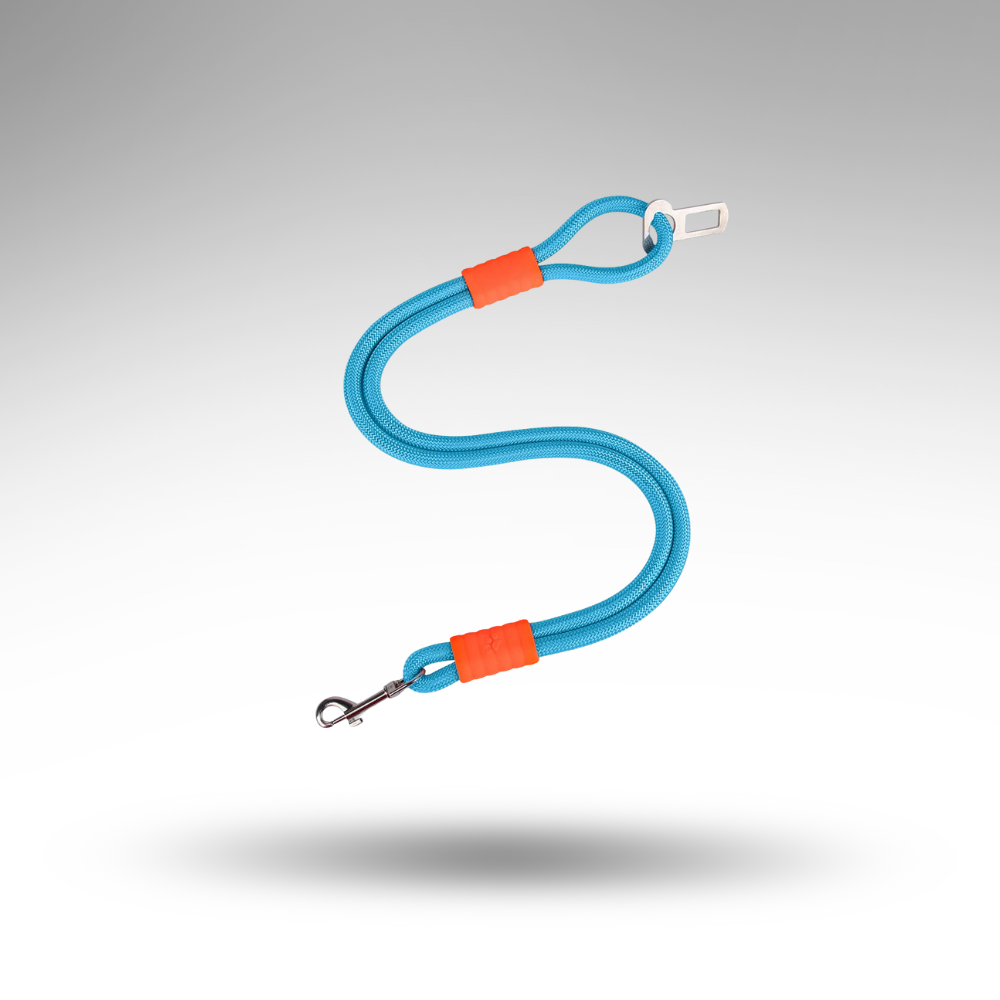 SteadyRide™ Anti-Zug Sicherheitsgurt – Schutz & 360° Komfort