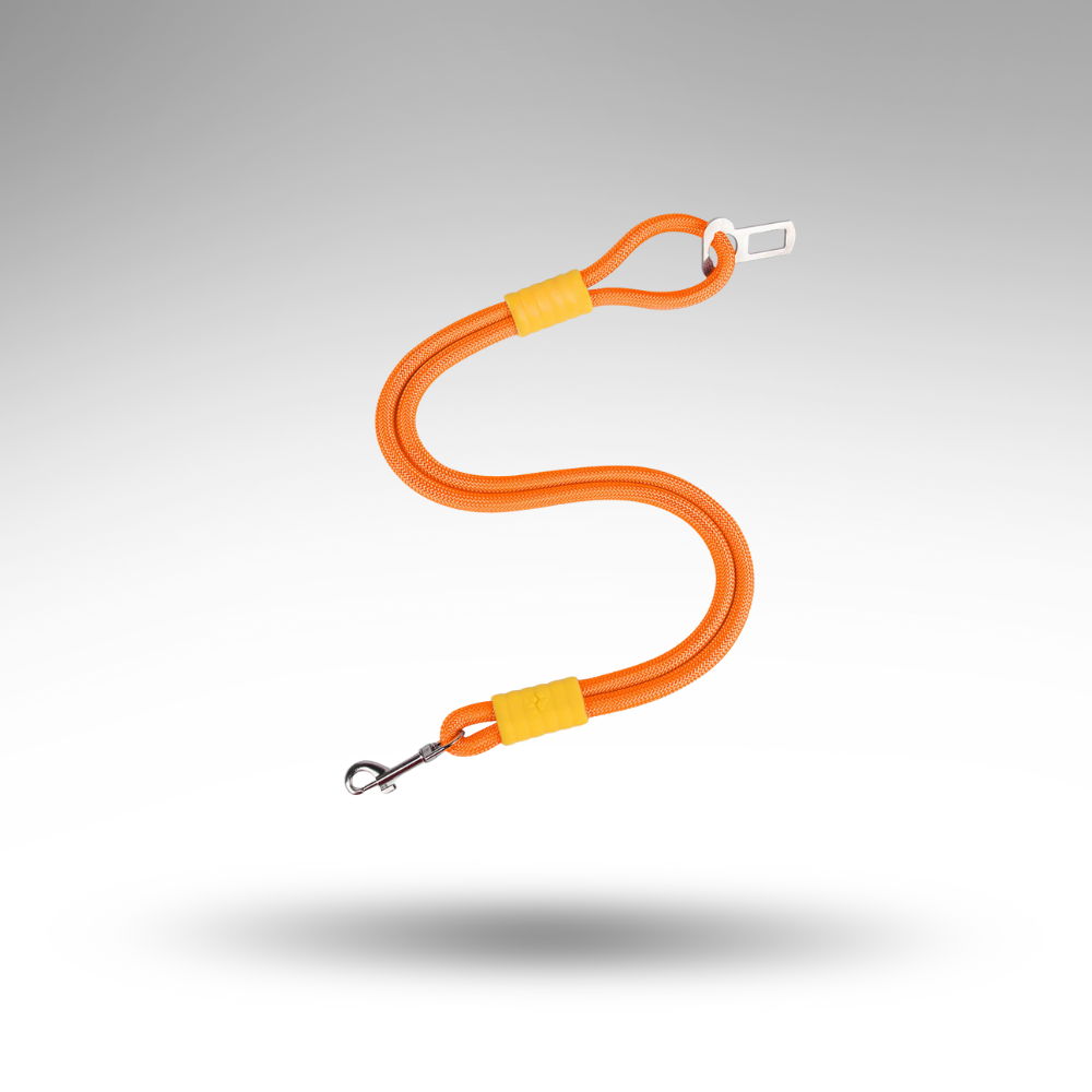 SteadyRide™ Anti-Zug Sicherheitsgurt – Schutz & 360° Komfort