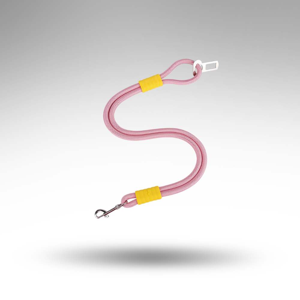 SteadyRide™ Anti-Zug Sicherheitsgurt – Schutz & 360° Komfort