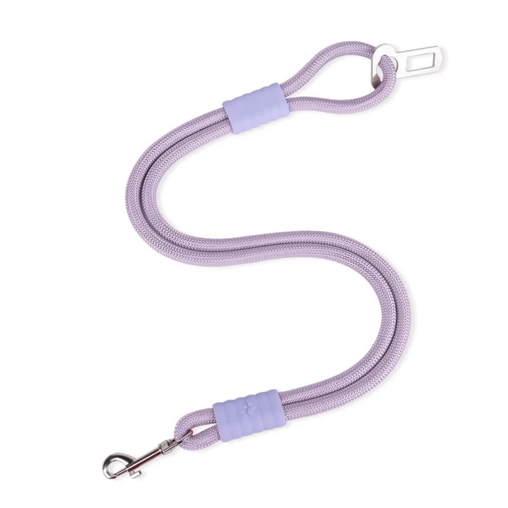 SteadyRide™ - Anti-Zug Nylon Sicherheitsgurt für Hunde auf der Autofahrt