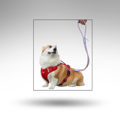 SteadyRide™ Anti-Zug Sicherheitsgurt – Schutz & 360° Komfort