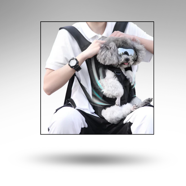 VenturaPaw™ Hunde-Bauchtrage – Ergonomisch & Atmungsaktiv