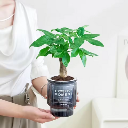 AquaBloom™ Selbstbewässernde Blumentöpfe – Intelligente Pflanzgefäße mit Wasserreservoir