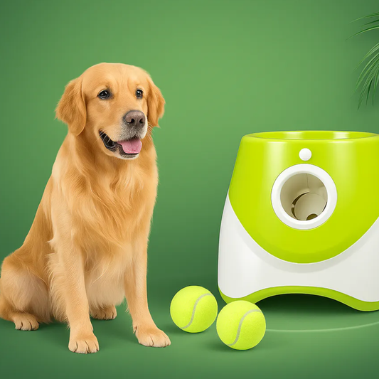 FetchPro™ – Automatischer Ballwerfer für Haustiere