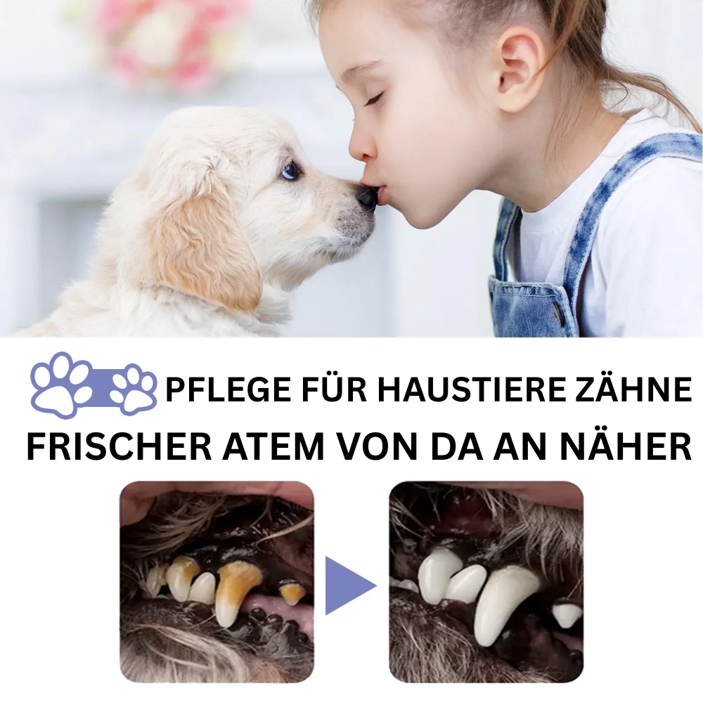 MaulFrisch™ Zahnpflege-Spray für Hunde & Katzen