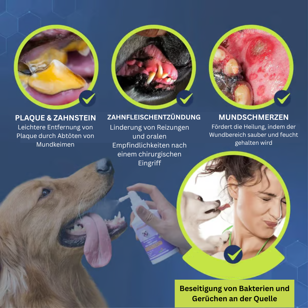 MaulFrisch™ Zahnpflege-Spray für Hunde & Katzen