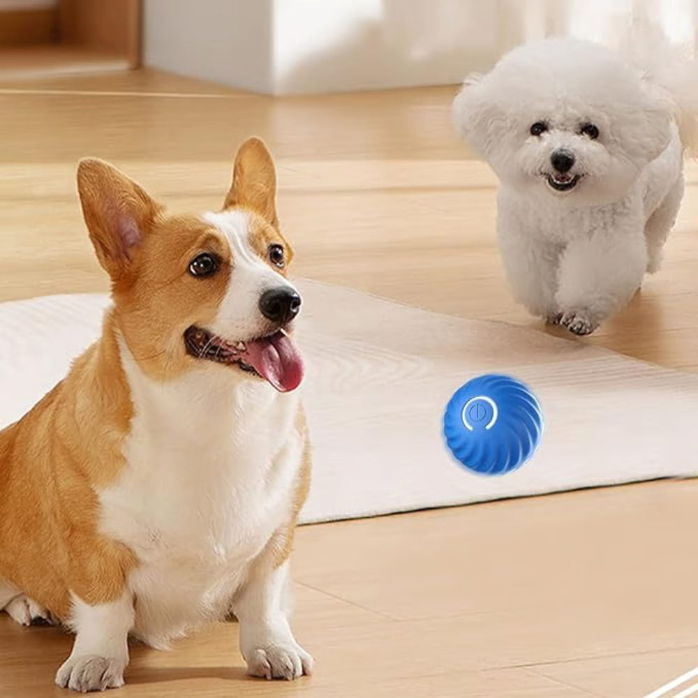 SpielBuddy™ Interaktiver Ball für Hunde – Smart & Aktiv