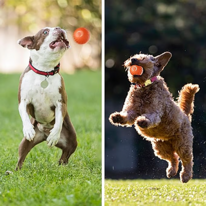 SpielBuddy™ Interaktiver Ball für Hunde – Smart & Aktiv