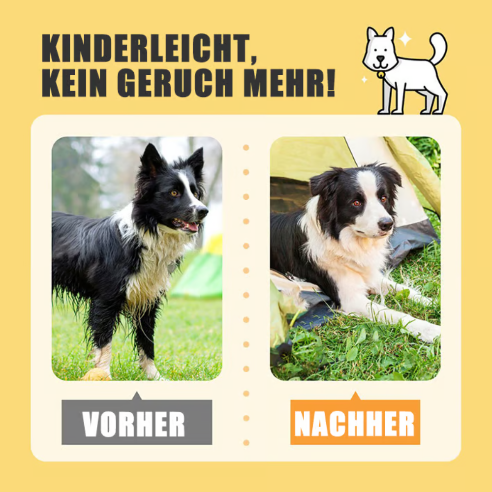 PawFresh™ – Deodorierende Pflegehandschuhe für Hunde (6er Pack)