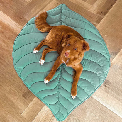 LeafNest™ - Weiches, großes Blatt-Kissen als Anti-Rutsch Hundebett & Schlafmatte